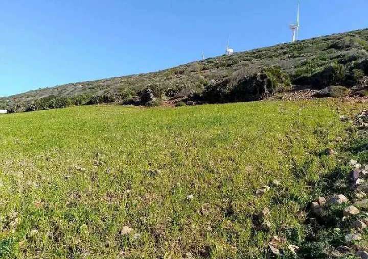 قطعة الأرض للبيع 500م² موقع الأول على البحر برج الصالحي الهوارية