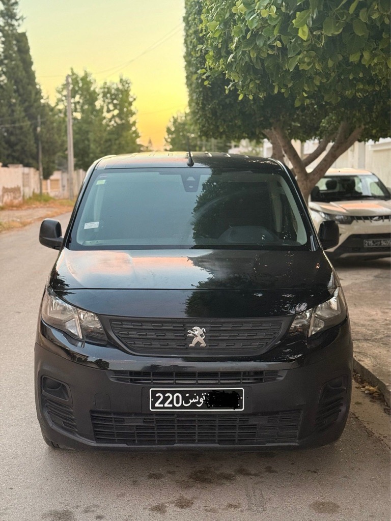 Peugeot K9