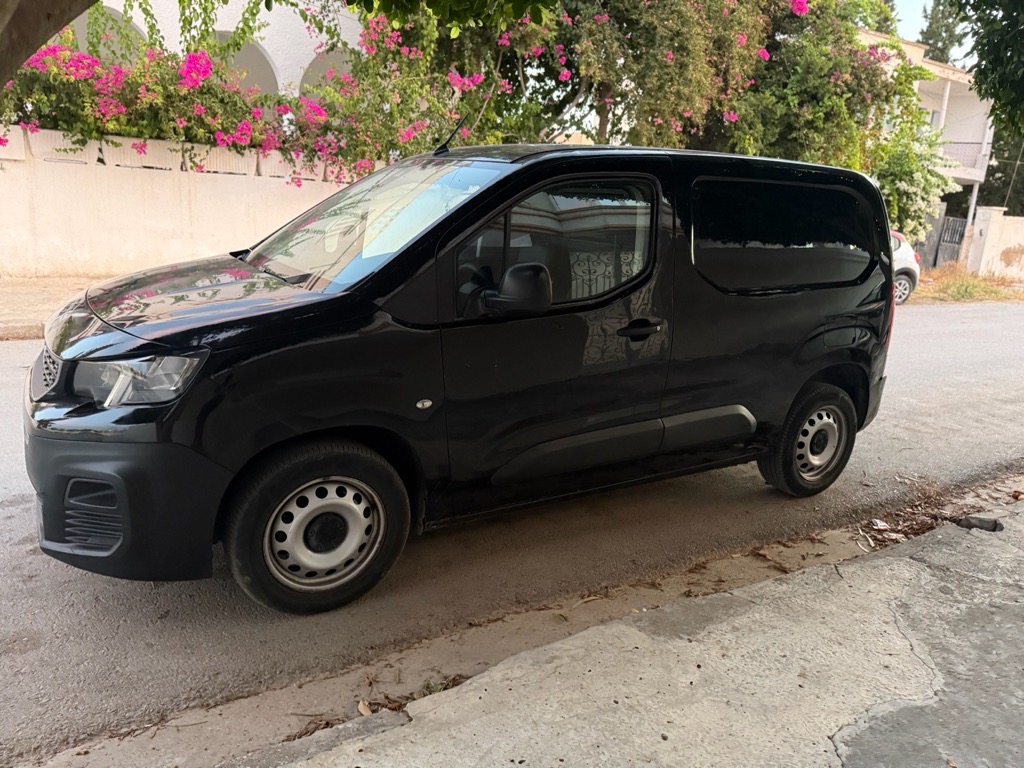 Peugeot K9
