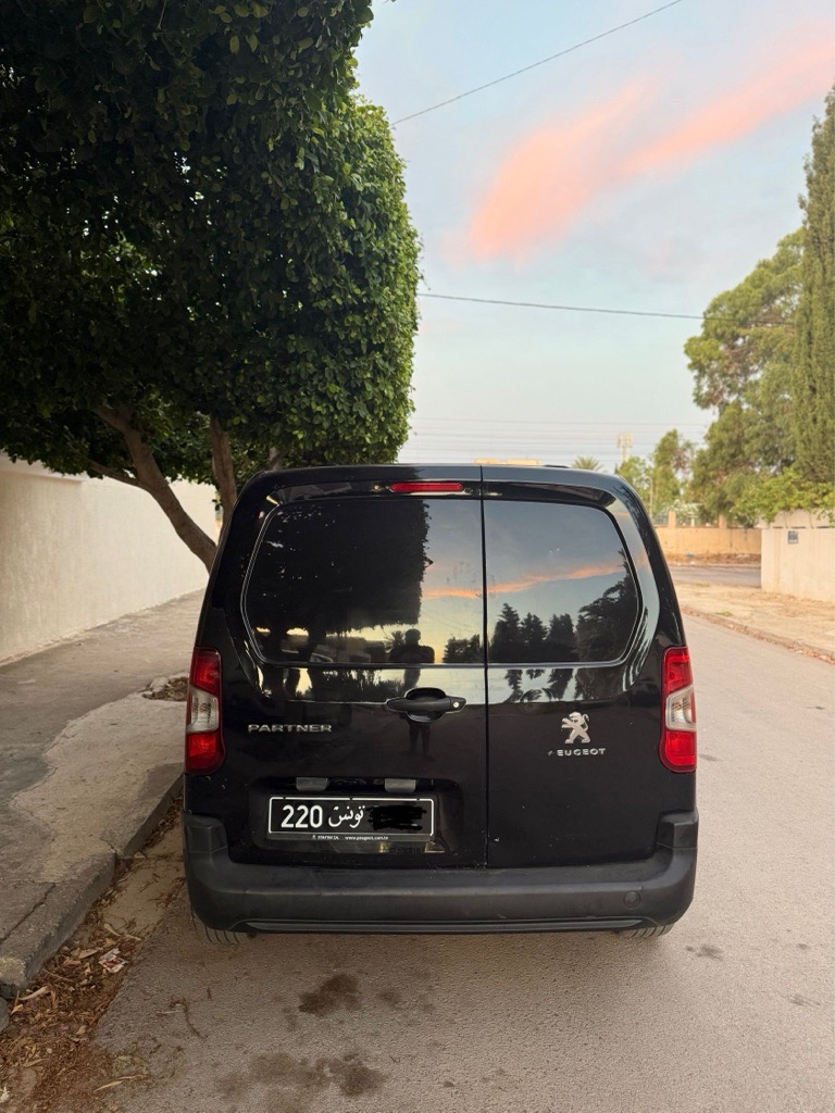 Peugeot K9