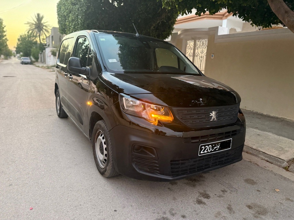 Peugeot K9