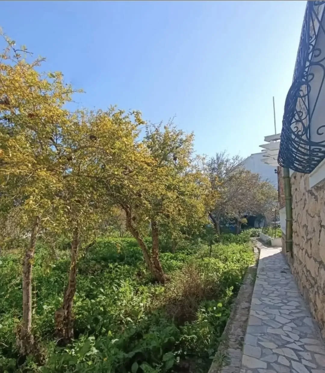 đĂ VENDRE â Projet D'Or 4000 mÂČâ FACE MER Ă  Chott Meriem