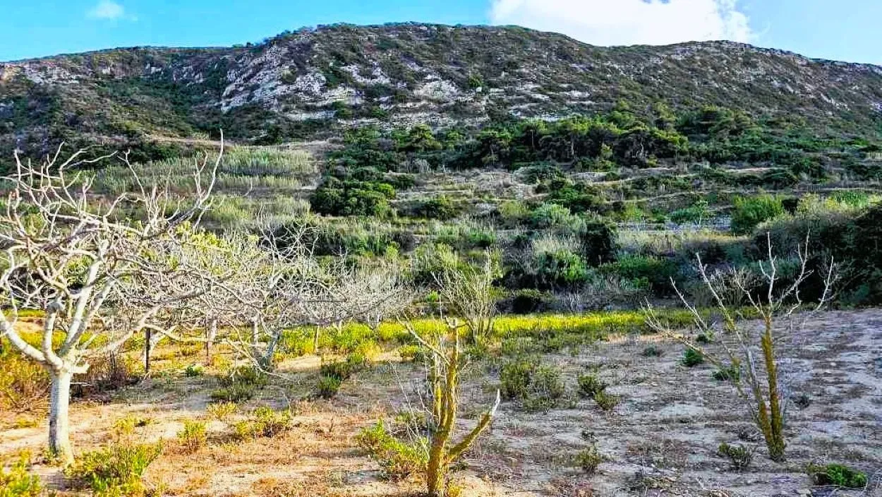 ⛰️ terrain 2500 2 sur les hauteurs de rafraf🏞️