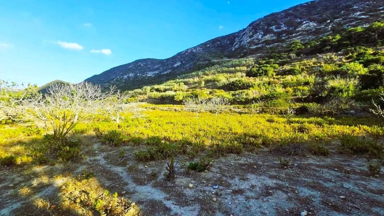 ⛰️ terrain 2500 2 sur les hauteurs de rafraf🏞️