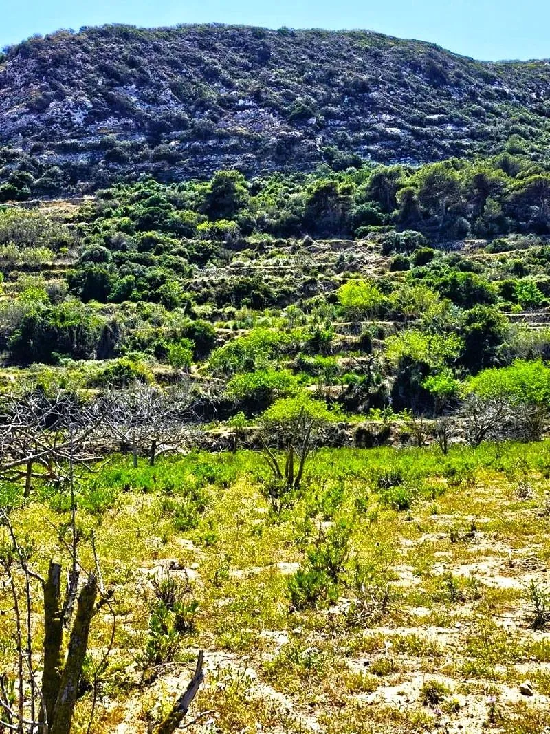 ⛰️ terrain 2500 2 sur les hauteurs de rafraf🏞️