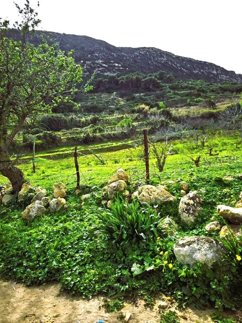 ⛰️ terrain 2500 2 sur les hauteurs de rafraf🏞️