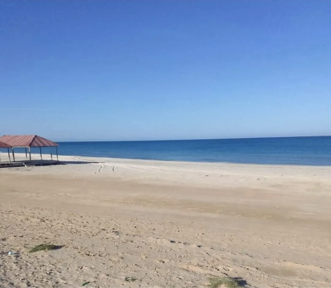 Terrain constructible  248 m2 et 298 m2  chatt_mariem 