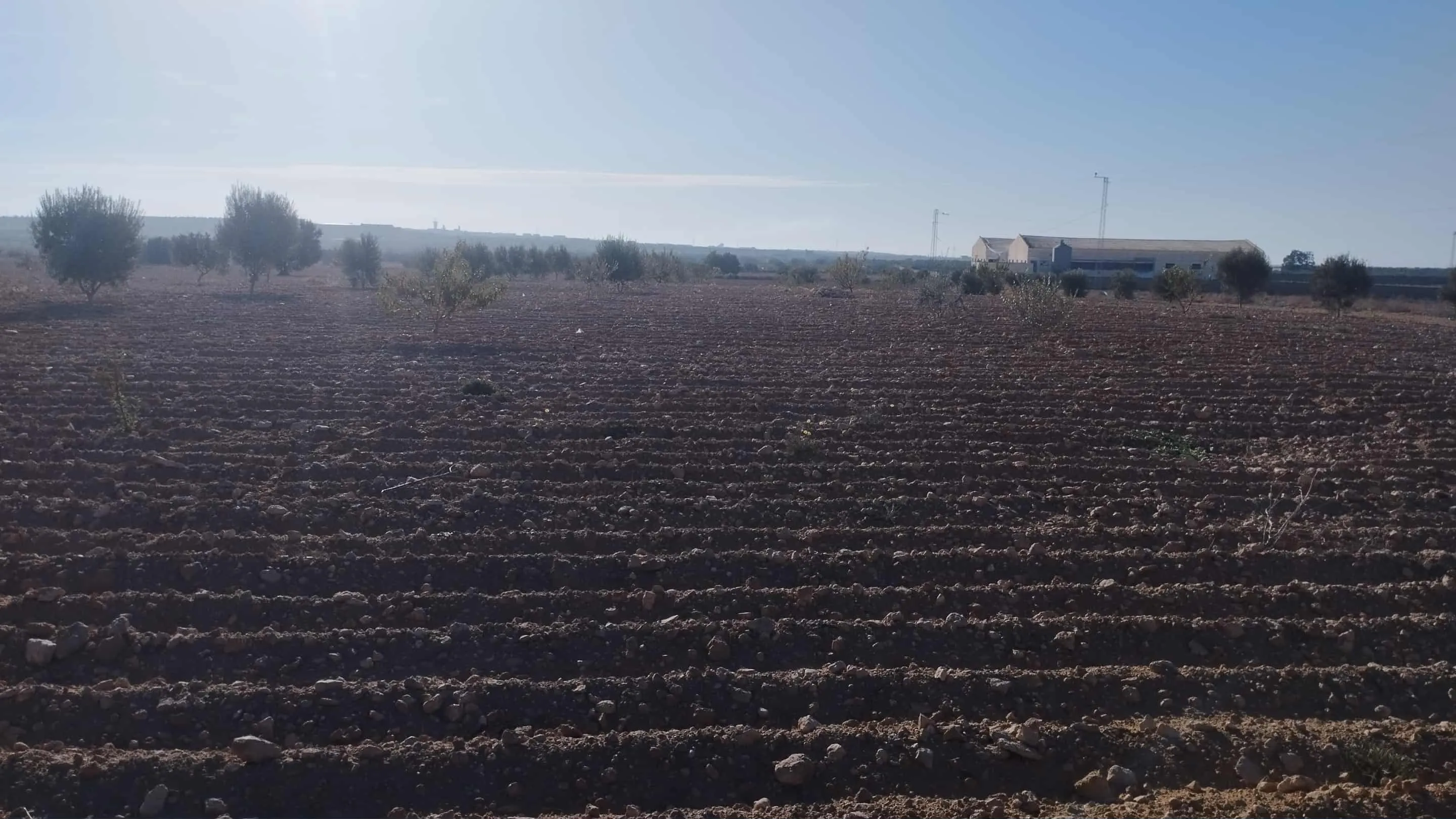 ارض للبيع 9 مراجع a ne pas rater