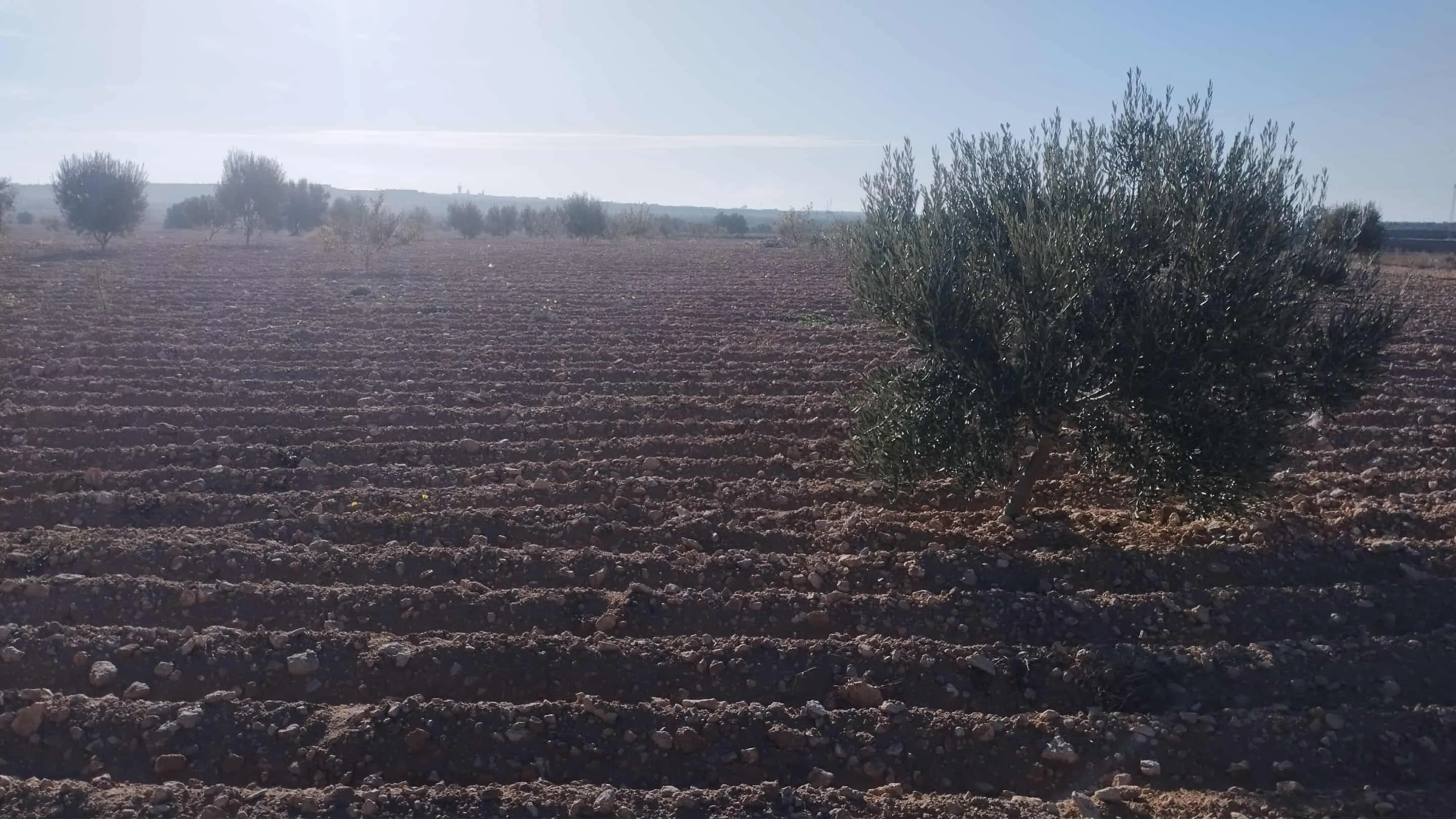 ارض للبيع 9 مراجع a ne pas rater