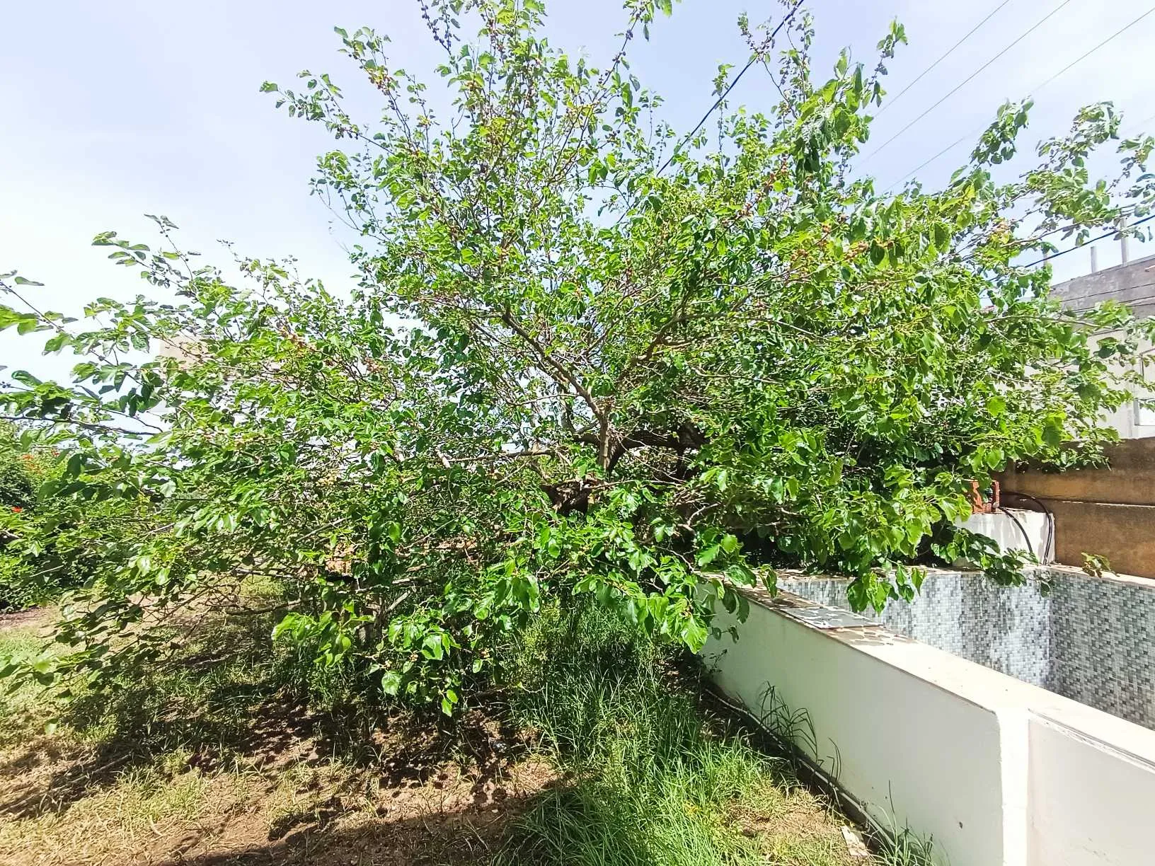 Duplex à vendre à Rafraf plage