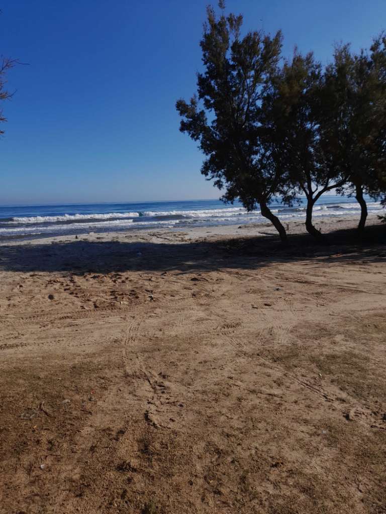 Terrain pied dans l'eau 