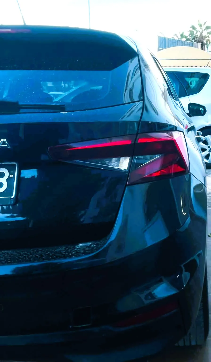 SKODA FABIA - photo 7