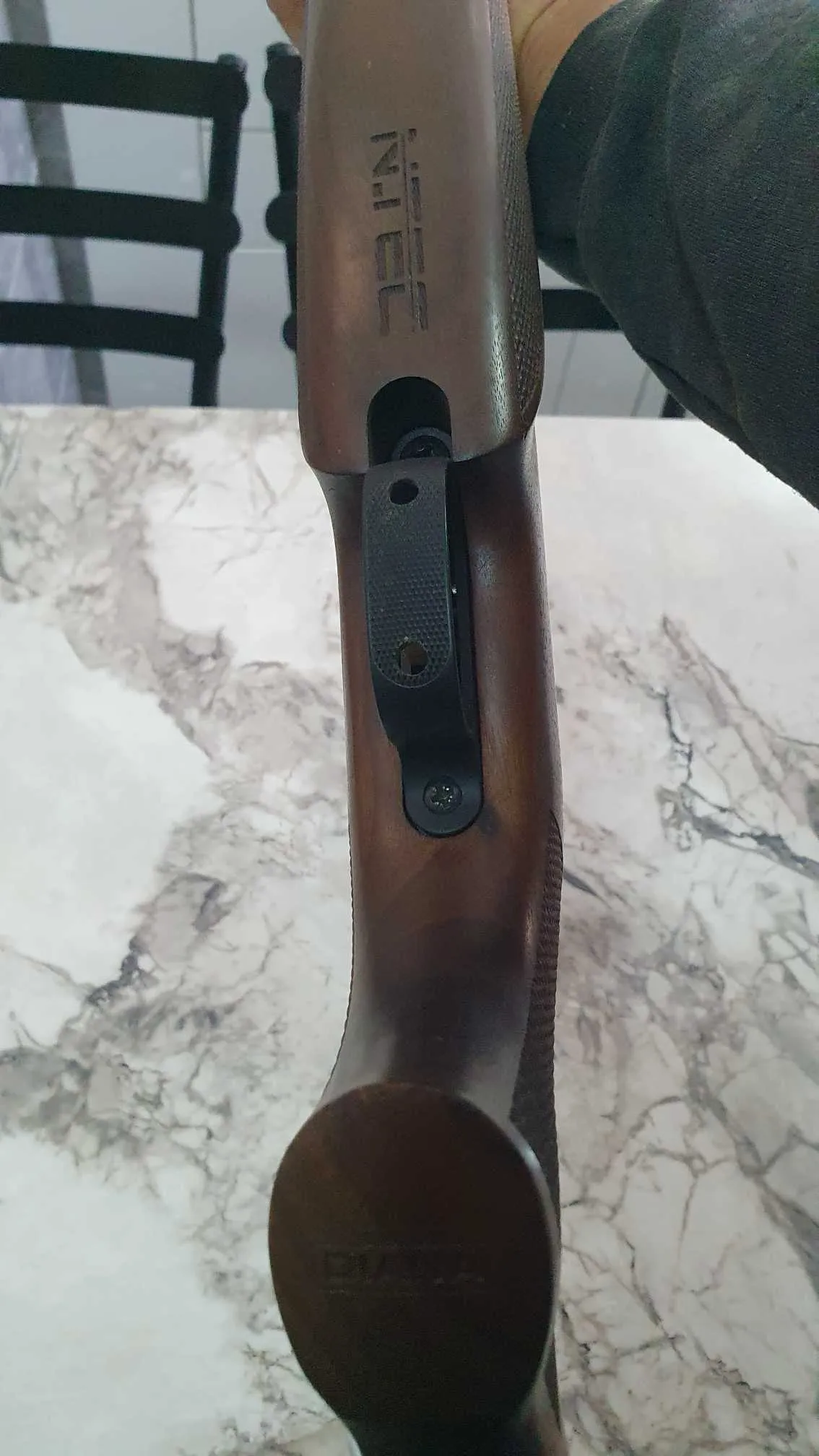 Carabine a plomb