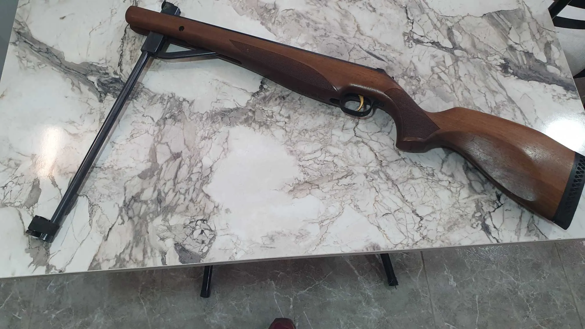 Carabine a plomb