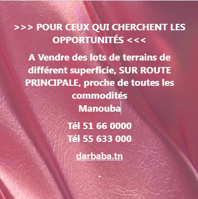 terrain a vendre