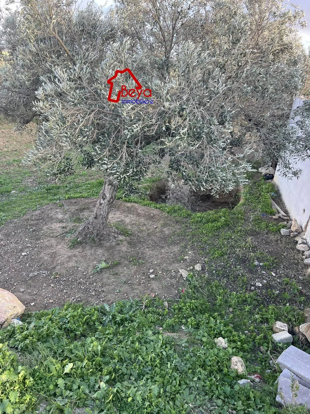 terrain MOLKA VTN017