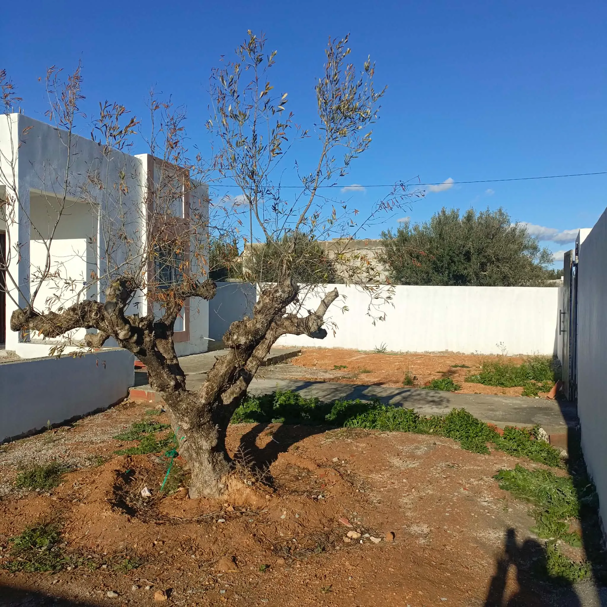 AV villa de 400m pas loin de hammamet yasmine 