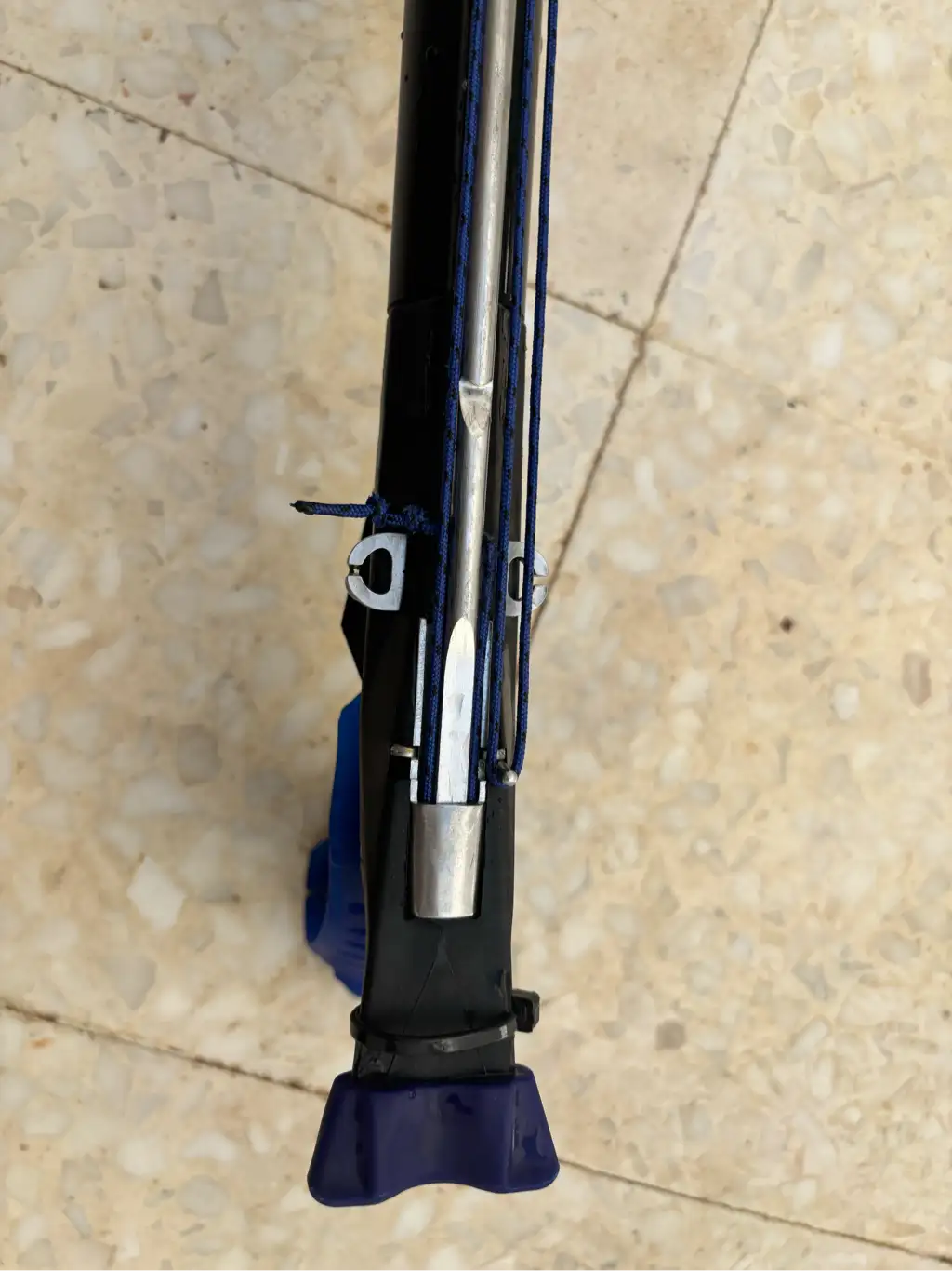 Fizga labrex