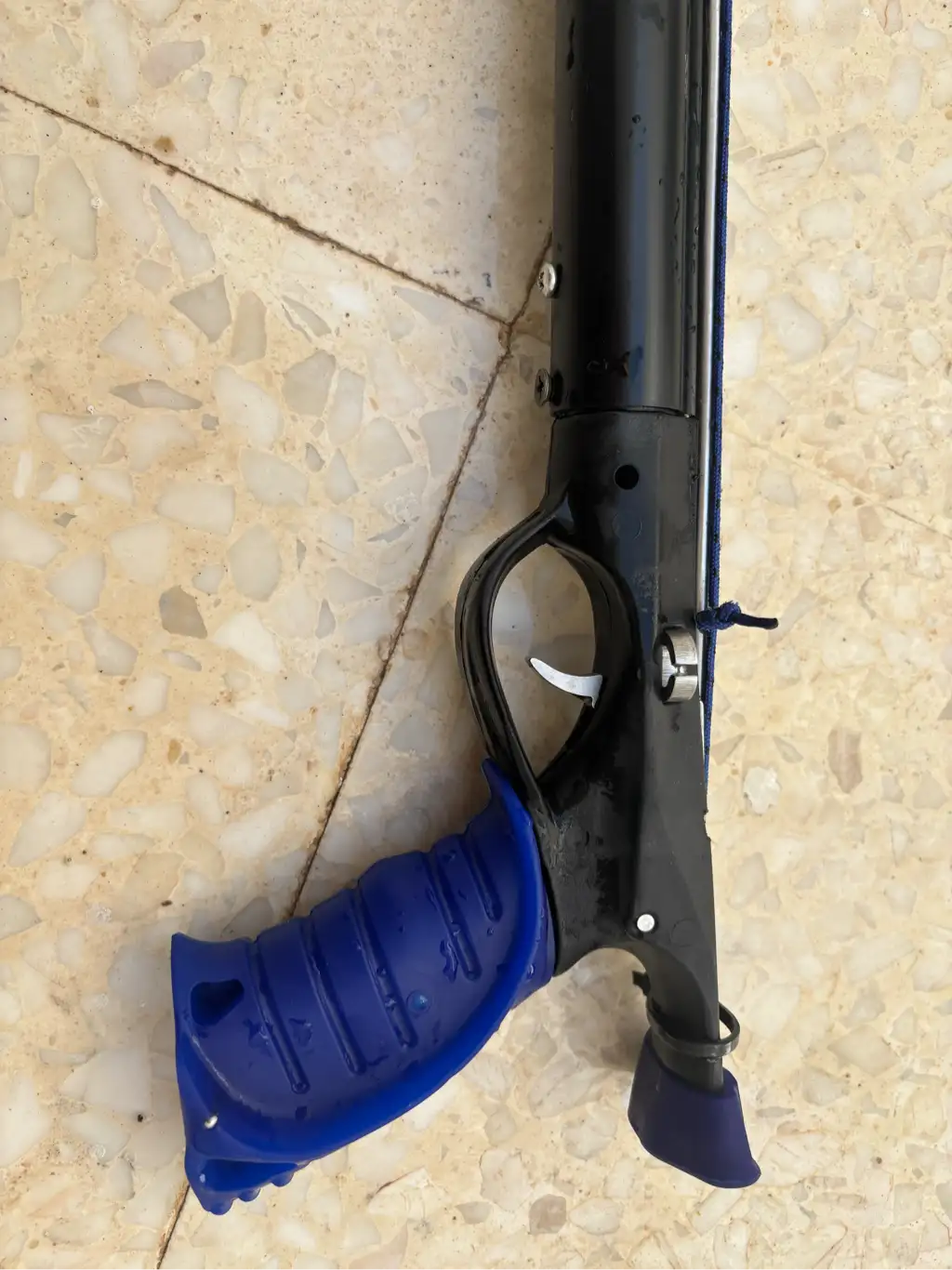 Fizga labrex