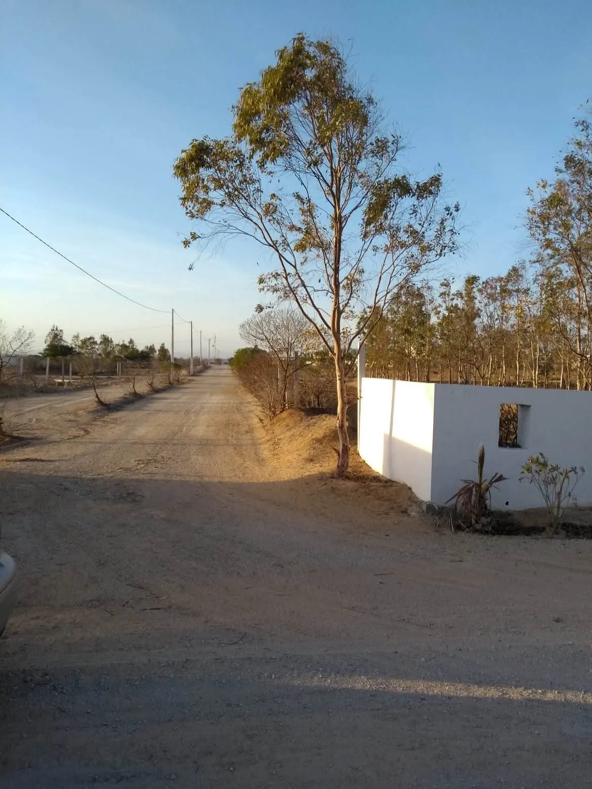đĄ Ă VENDRE â TERRAIN Ă BĂTIR Ă HERGLA Madfoun