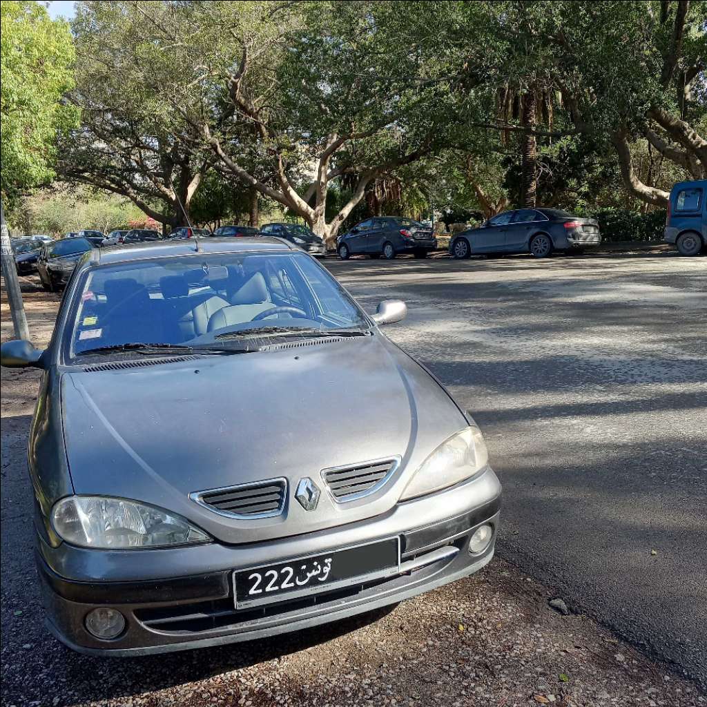Renault Mégane essence 