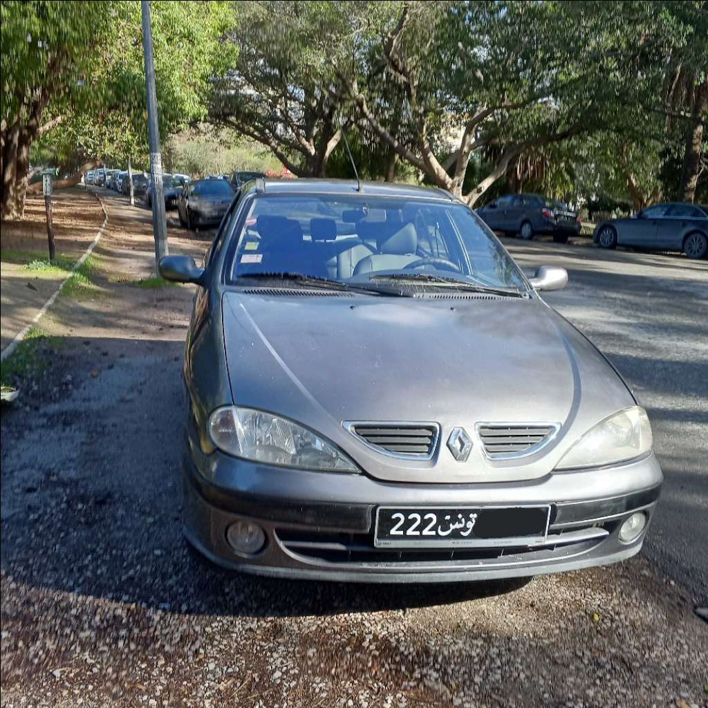 Renault Mégane essence 