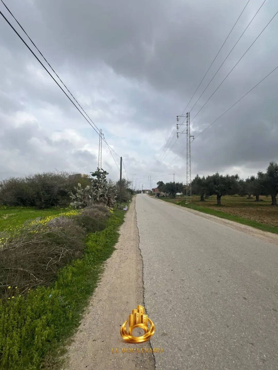 A vendre terrain à El Haouariya de nabeul