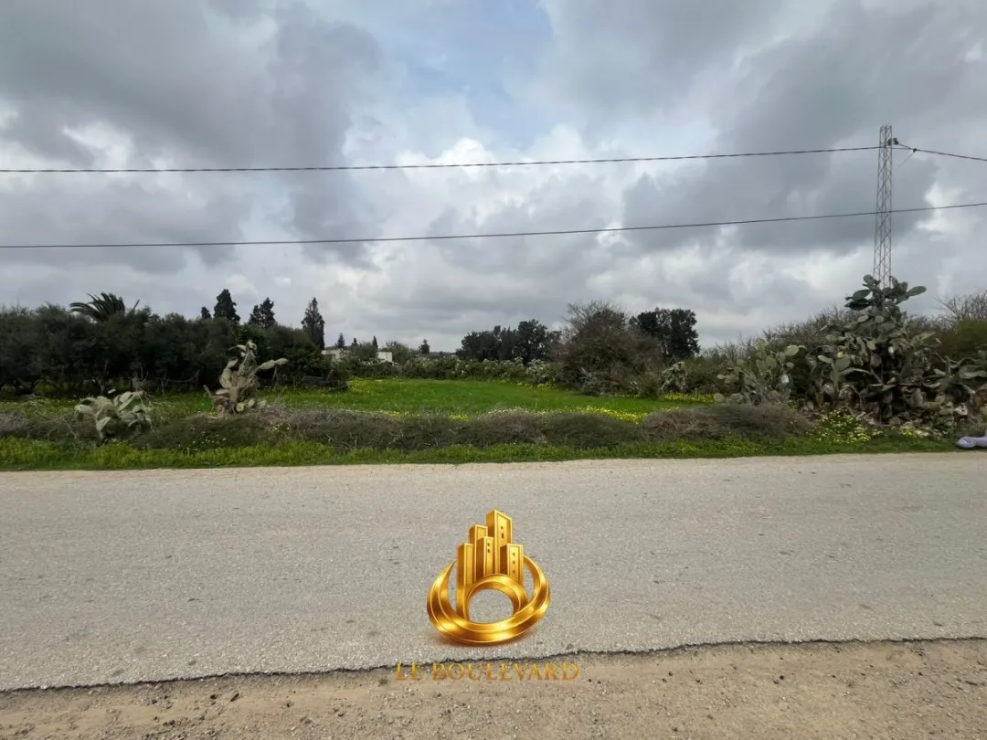 A vendre terrain à El Haouariya de nabeul