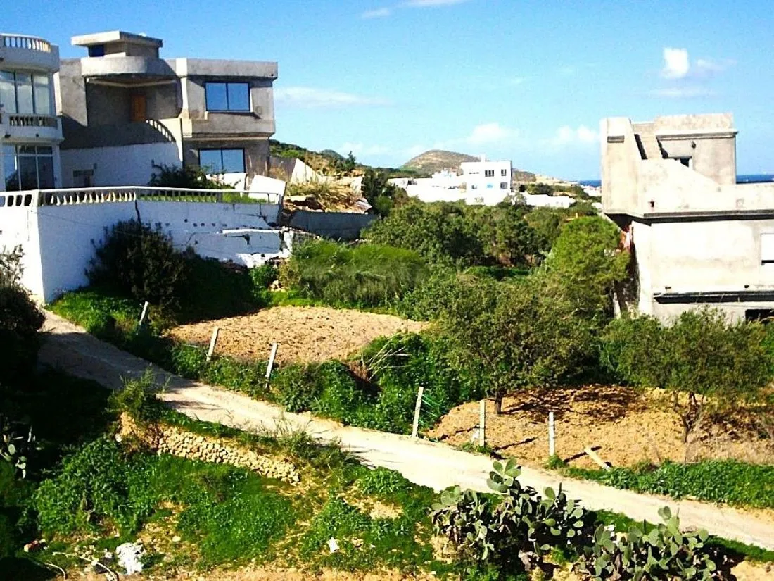 🌄Terrain 600 m2 rafraf plage🏖