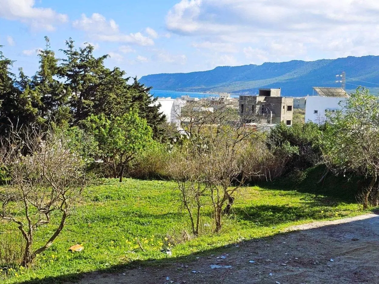 🌄Terrain 600 m2 rafraf plage🏖