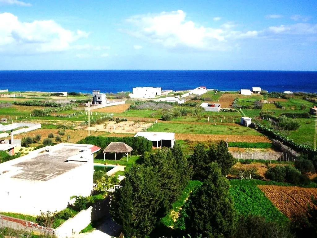 🌄Terrain 600 m2 rafraf plage🏖