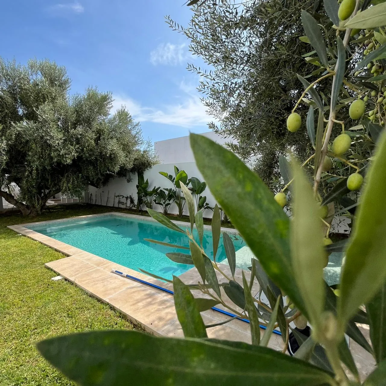 Une villa de charme à vendre à Hammamet Nord ☎️+216.53.123.208☎️