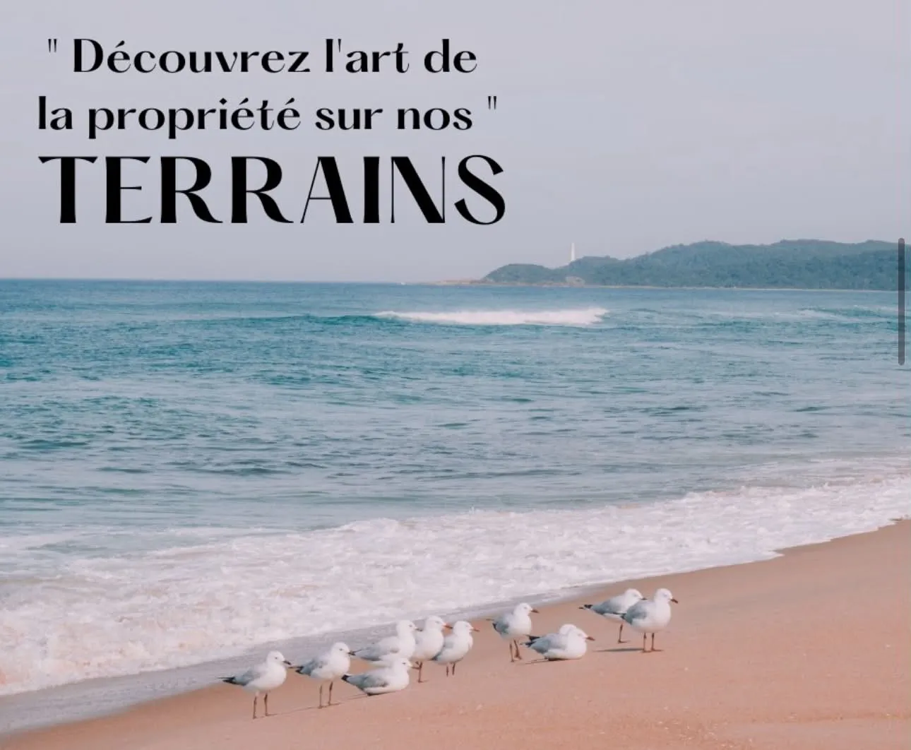 Une belle opportunité a saisir 