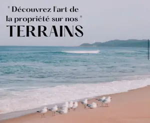 Une belle opportunité a saisir 