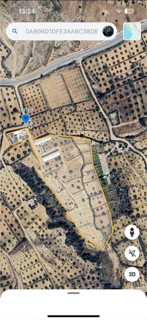 سانية مع زوز باطيمات دجاج