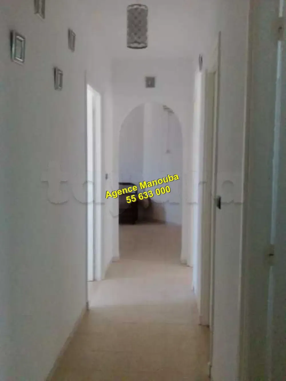 appartement a louer