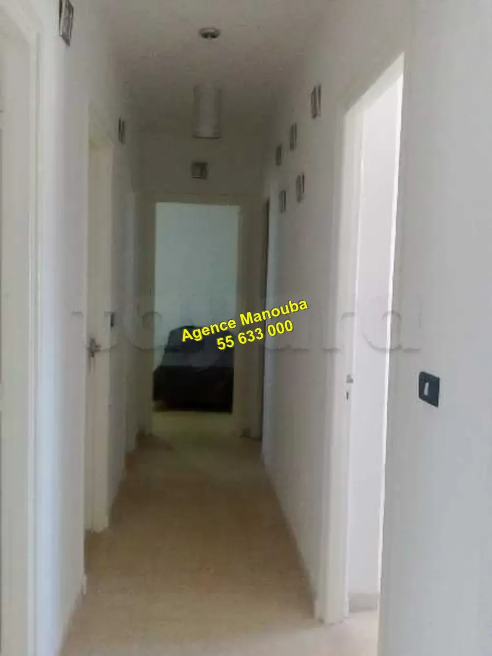 appartement a louer