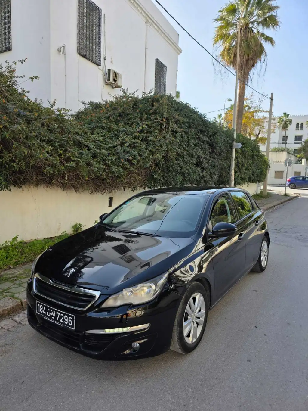 308.. Tel 20413802