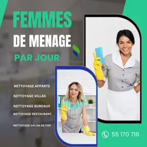 UNE FEMME DE MENAGE PAR JOUR A  Riadh Andalous 