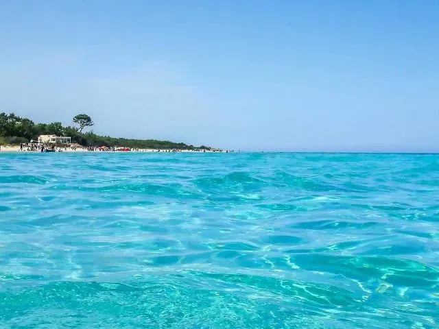 Investir au cap bon un terrain de 1 Ha