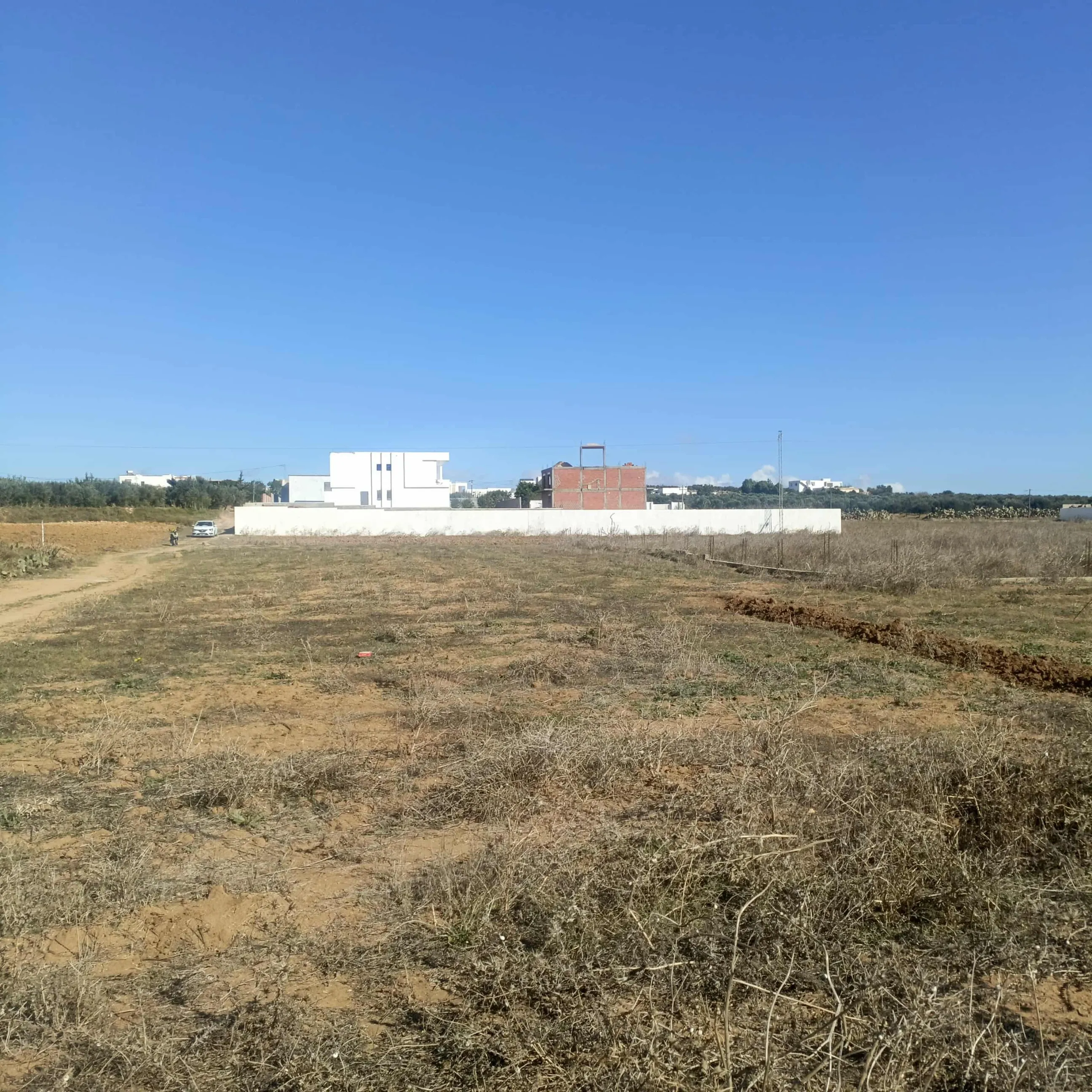 AV beau terrain de 1000m à Monchar HAMMAMET sud 