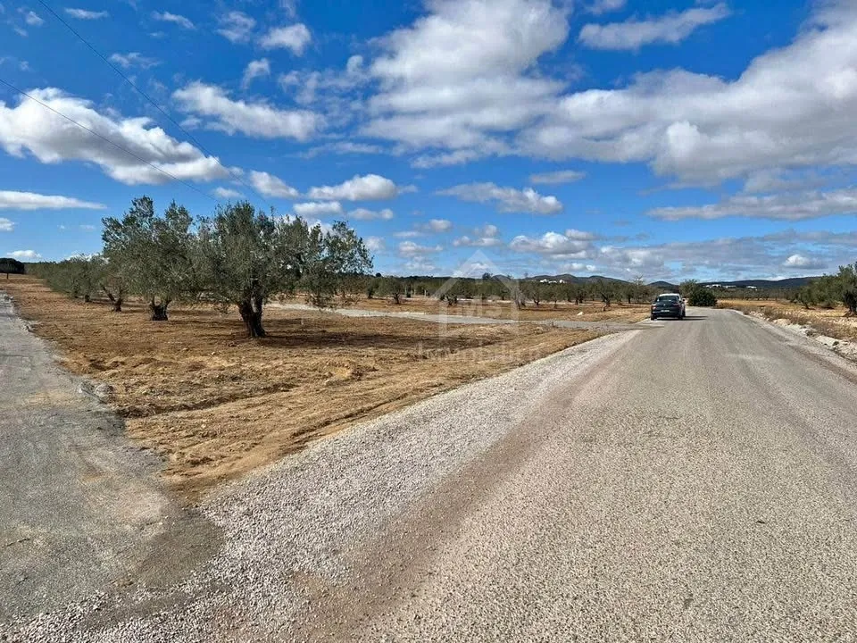 Terrain à Hammamet Sud à vendre 51355351