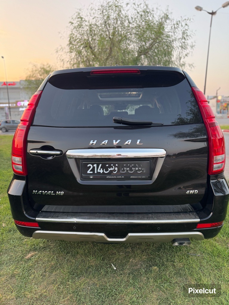 HAVAL H9