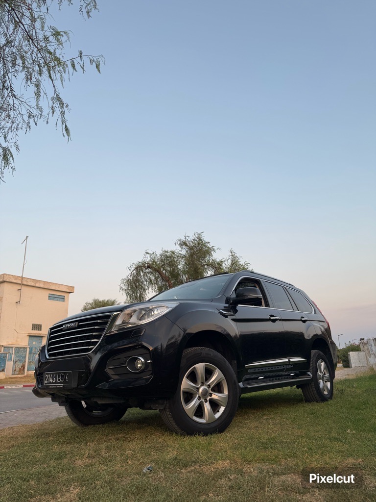 HAVAL H9