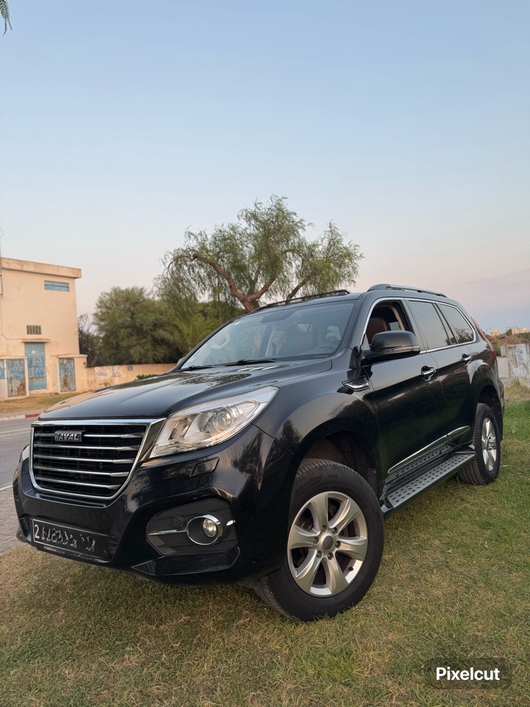 HAVAL H9