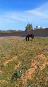 Forfait PRIX TRÈS NÉGOCIABLE Terrain entièrement clôturé à HAMMAMET de 8200m²