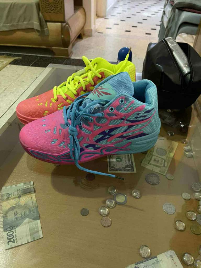 Basket puma