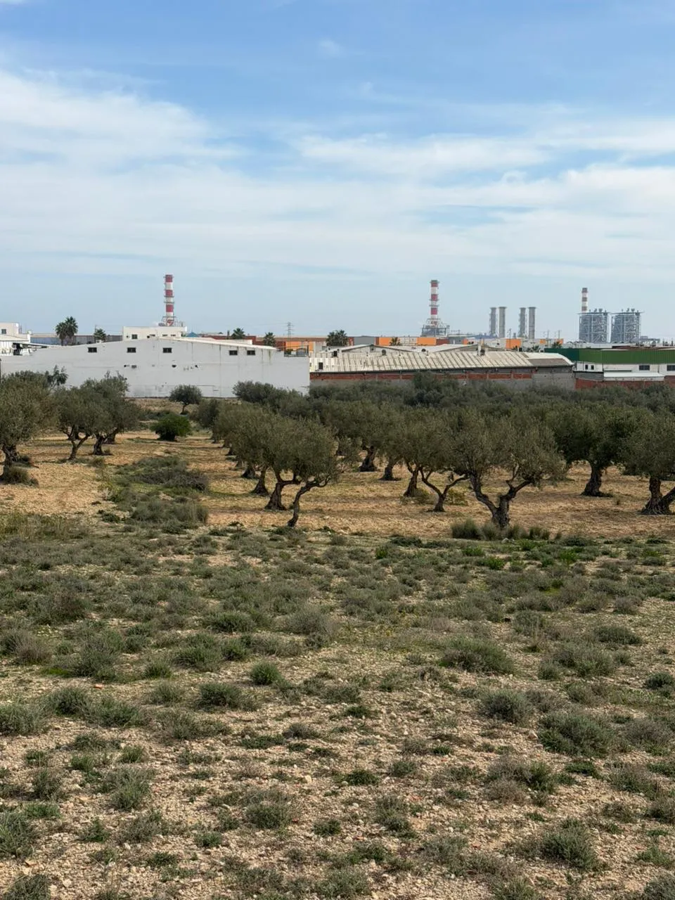 Vente terrain constructible Sousse , 30.000 m²