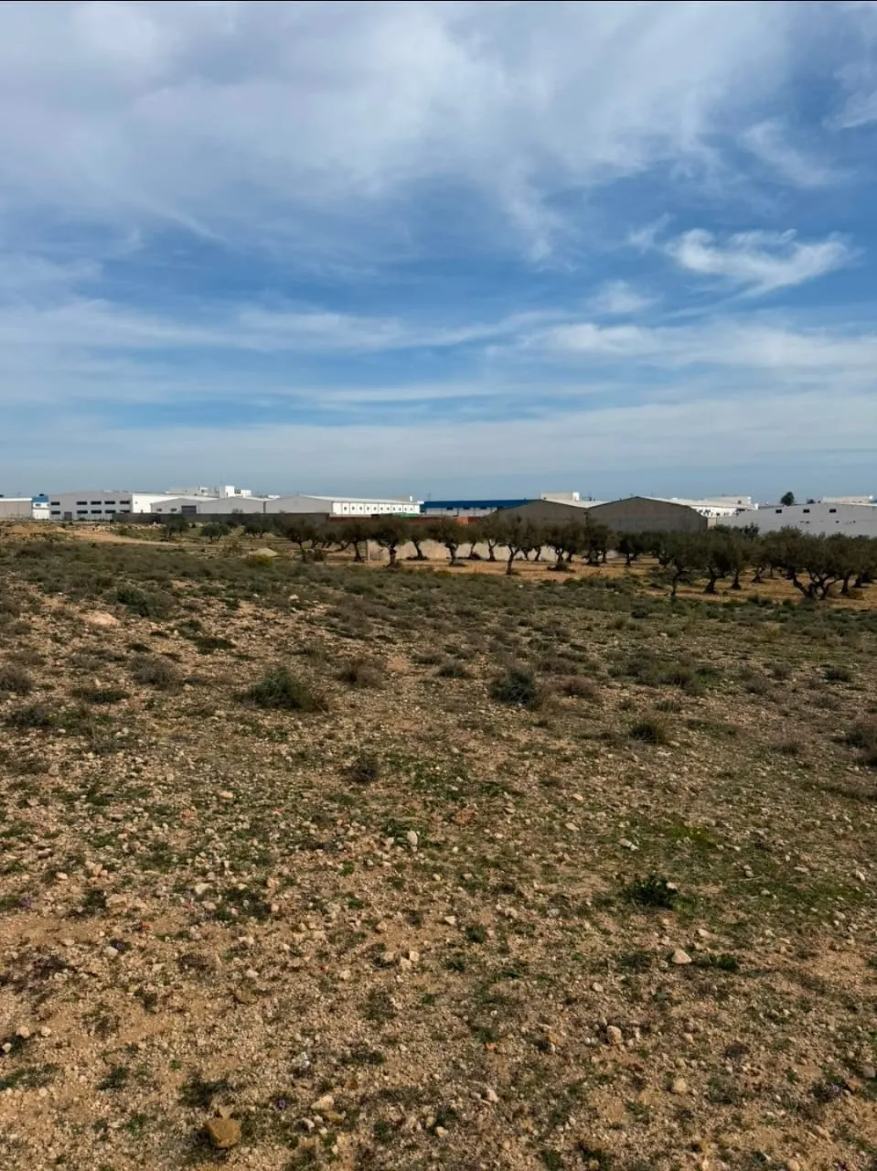Vente terrain constructible Sousse , 30.000 m²
