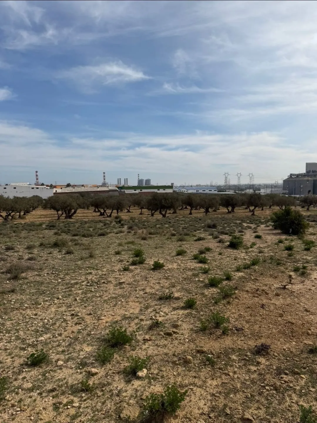 Vente terrain constructible Sousse , 30.000 m²